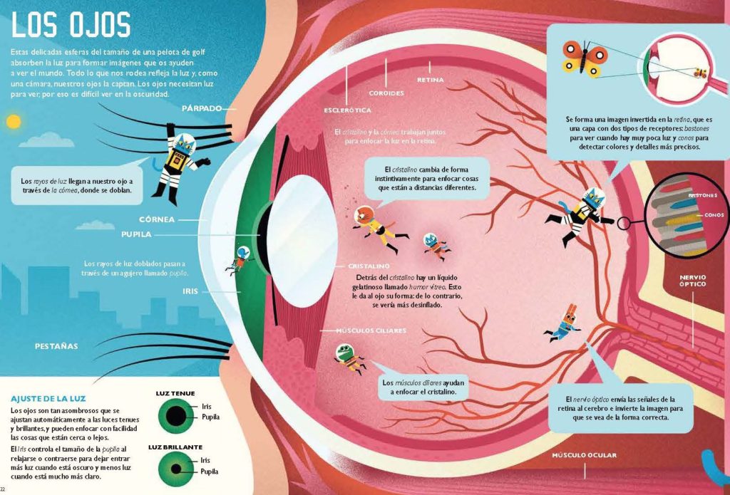 El profesor Astro Cat