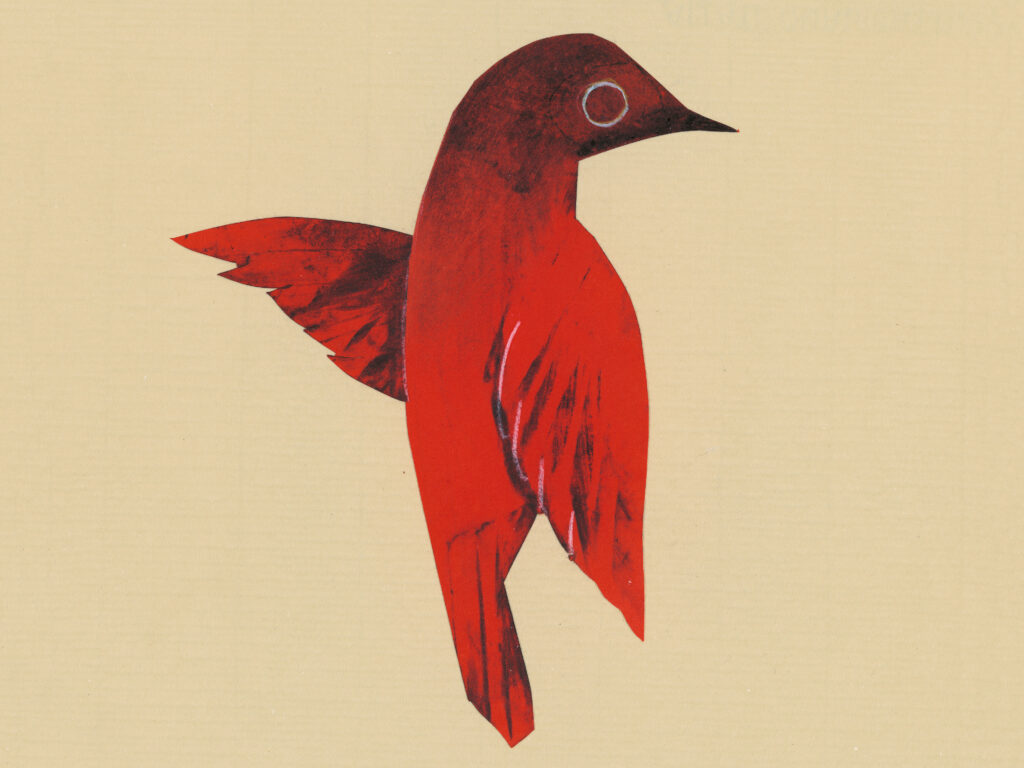 Dibujo/collage. Fondo beige, textura y color similar al papel reciclado. En el centro un pájaro rojo con la cabeza completamente girada hacia el lado derecho y una ala extendida hacia el lado izquierdo. 