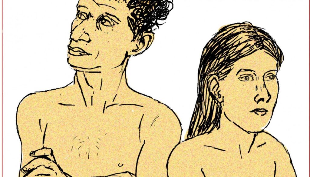 Detalles de ilustración interior de 