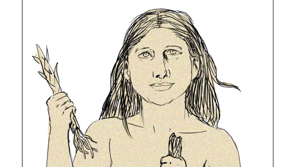 Detalle de ilustración interior de 