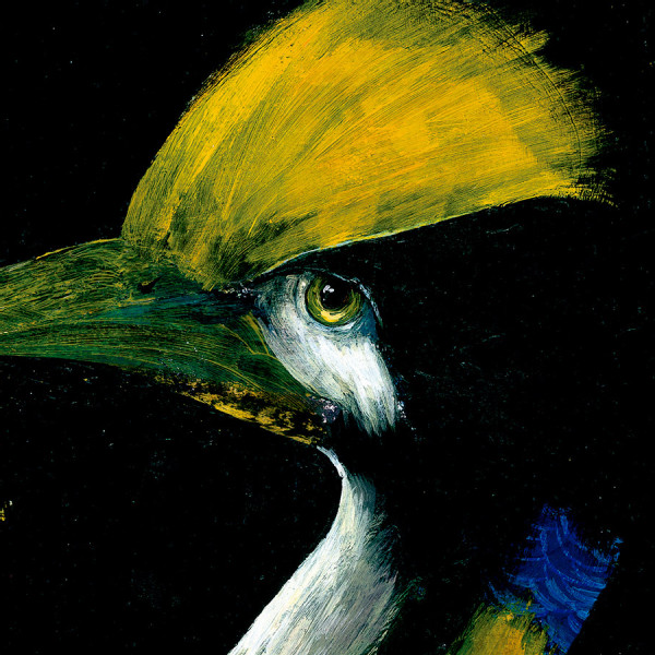 PÁJAROS PARA DIBUJAR PINTAR Y COLOREAR