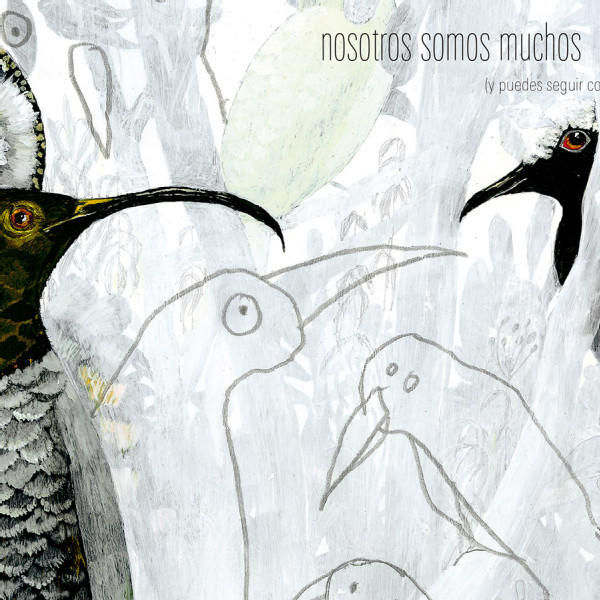 PÁJAROS PARA DIBUJAR PINTAR Y COLOREAR