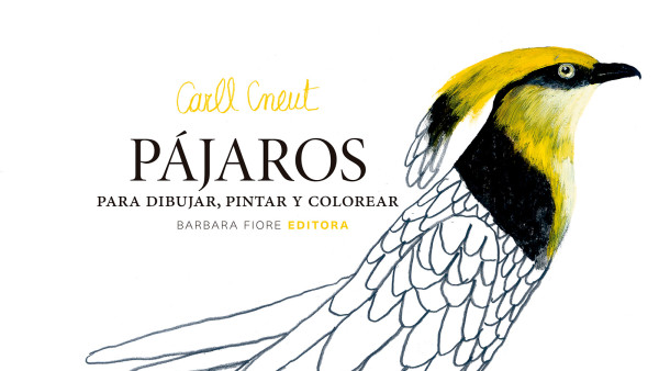 PÁJAROS PARA DIBUJAR PINTAR Y COLOREAR