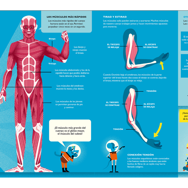 EL PROFESOR ASTRO CAT Y LA ODISEA DEL CUERPO HUMANO