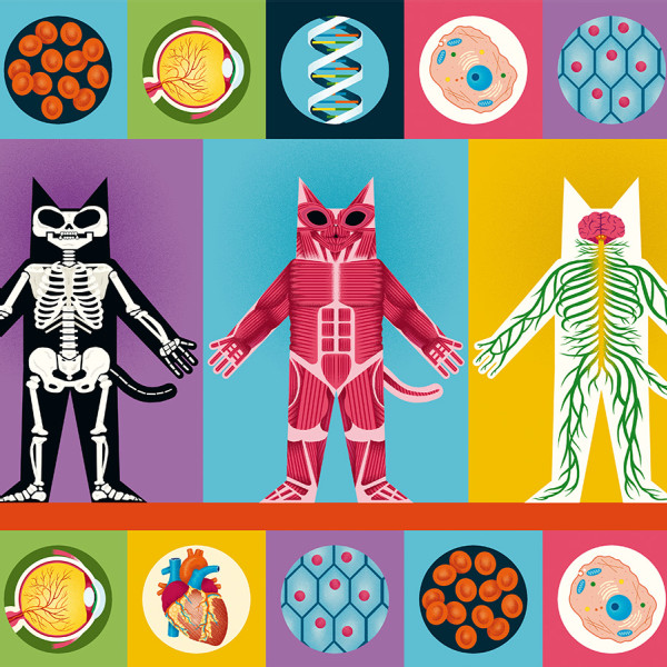 EL PROFESOR ASTRO CAT Y LA ODISEA DEL CUERPO HUMANO