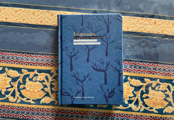 Las mujeres y la literatura