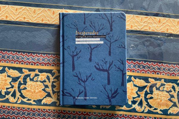 Las mujeres y la literatura