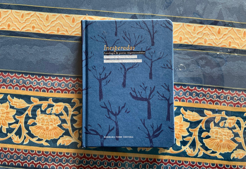 Las mujeres y la literatura