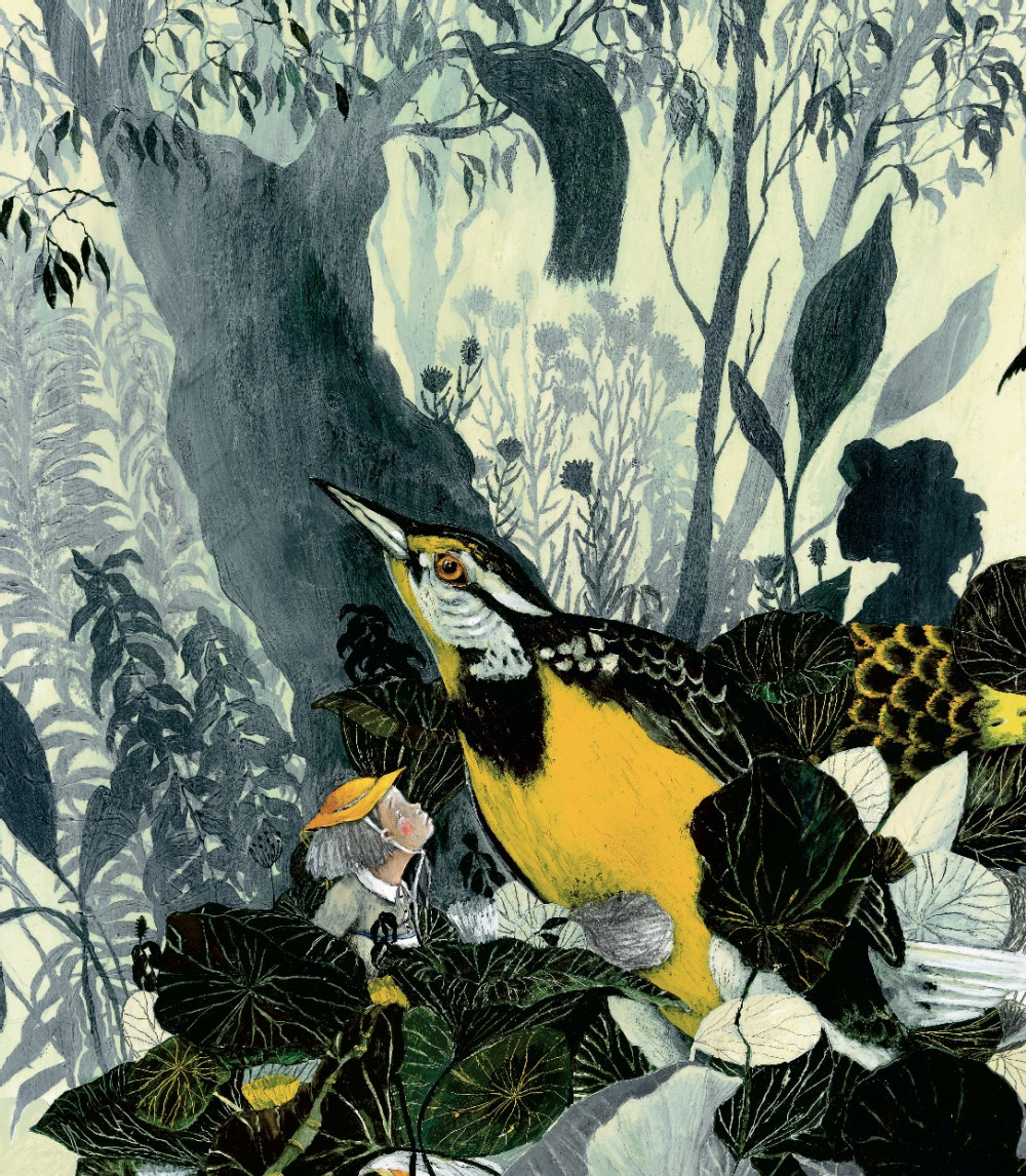 “La pajarera de oro” es una historia misteriosa de sombras y luces